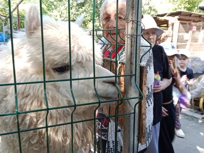 Фото дома престарелых в Новосибирске. Частный пансионат для пожилых людей в Новосибирске: Летняя прогулка в береговую рощу и контактный зоопарк