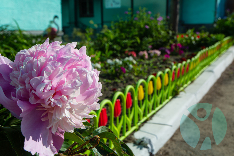 Дом престарелых г. Новосибирск: Благоустройство территории нашего пансионата, является неотъемлемой частью в нашей работе